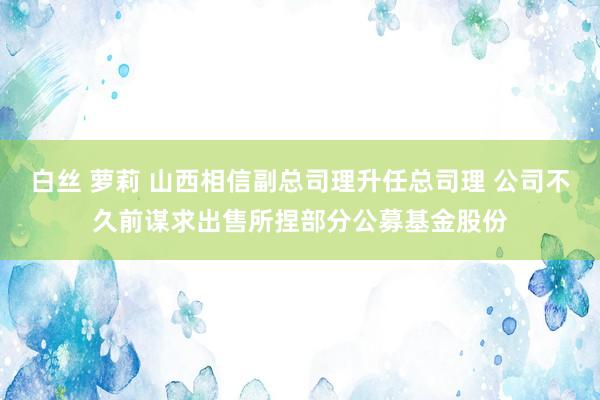 白丝 萝莉 山西相信副总司理升任总司理 公司不久前谋求出售所捏部分公募基金股份