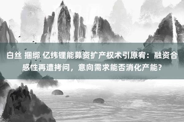 白丝 捆绑 亿纬锂能募资扩产权术引原宥：融资合感性再遭拷问，意向需求能否消化产能？