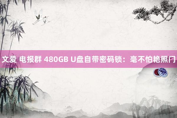 文爱 电报群 480GB U盘自带密码锁：毫不怕艳照门