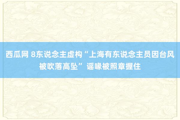 西瓜网 8东说念主虚构“上海有东说念主员因台风被吹落高坠” 谣喙被照章握住